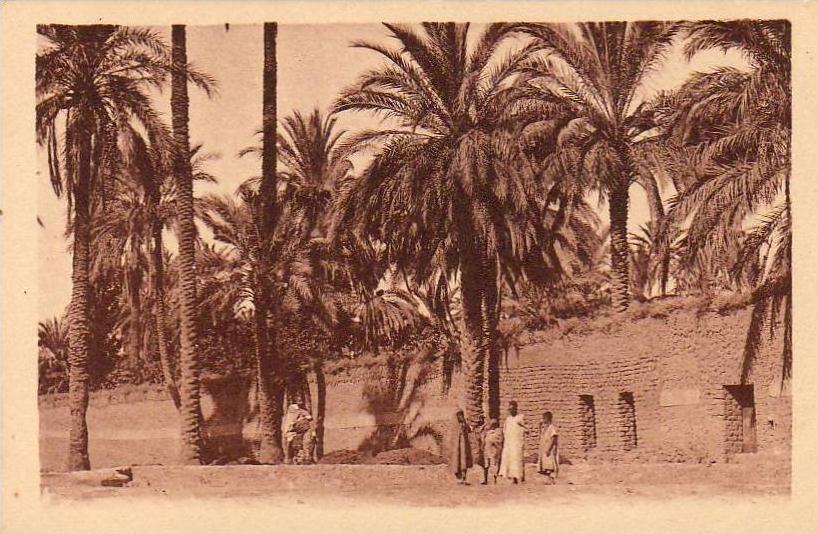 ALGERIE  LAGHOUAT  Dans le Chemin de ronde  ..... ( Ref FA1089 )