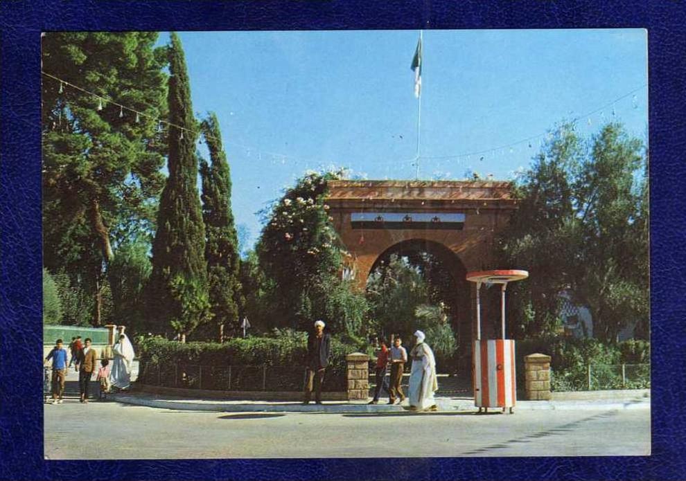 ALGERIE / ALGERIEN /    Laghouat   Place Mohamed Khemisti