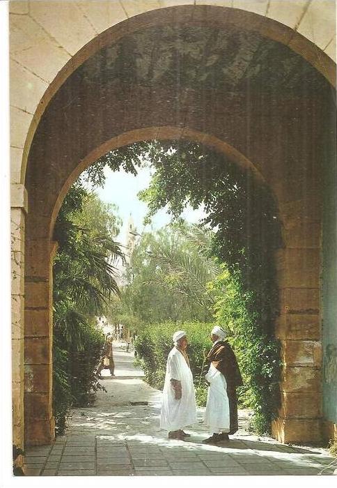 algérie  LAGHOUAT  vue