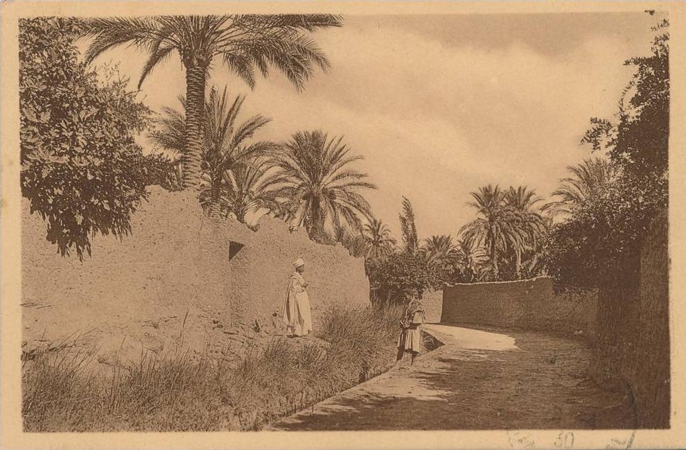 AFRIQUE - ALGERIE - LAGHOUAT - La Grande Séguia