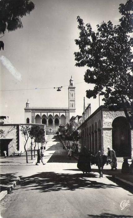 cp , ALGERIE , LAGHOUAT , vue prise des 4 chemins de l'hôtel Saharien , écrite