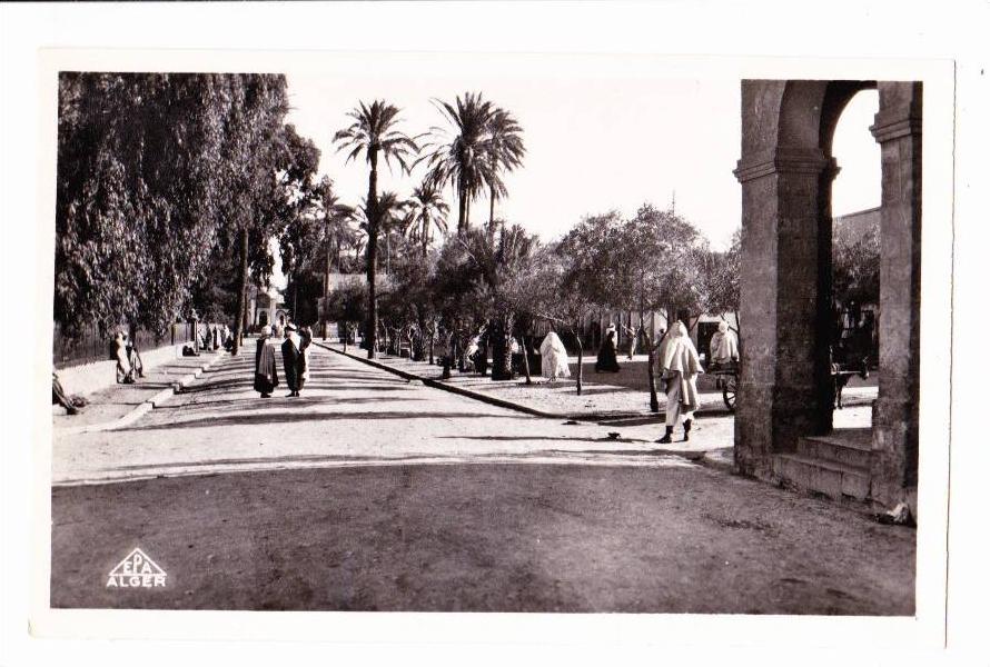 LAGHOUAT , LA GRANDE PLACE