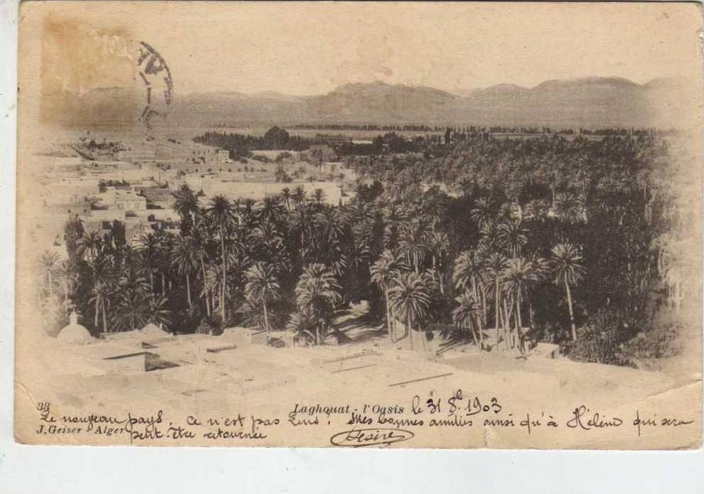 LAGHOUAT  L OASIS