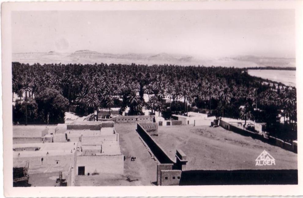 CPSM/CPA carte postale ancienne AFRIQUE ALGERIE LAGHOUAT vue sur la Palmeraie TBE