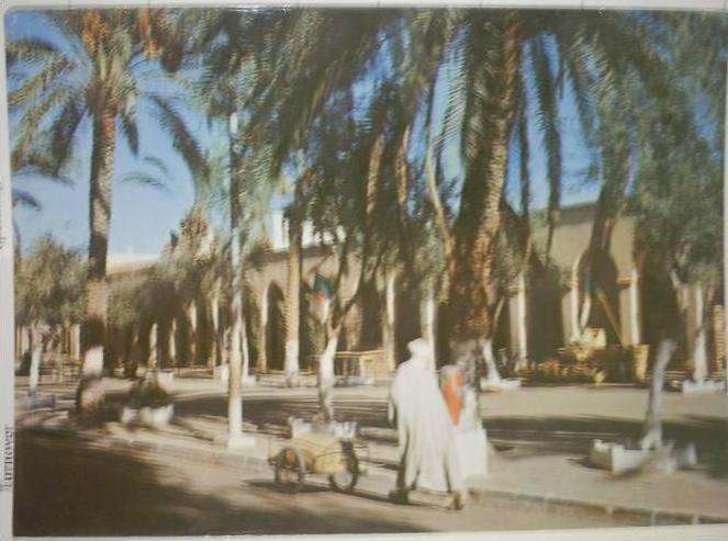 C. Postale  ALGERIE - LAGHOUAT - PLACE DE LA REPUBLIQUE (1969)