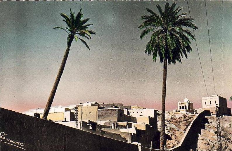 ALGERIE  LAGHOUAT  Panorama