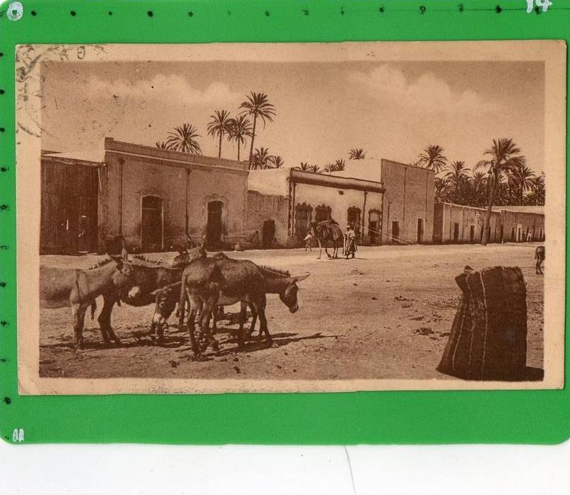 LAGHOUAT LA PLACE DU MARCHE AUX BESTIAUX