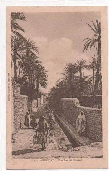 ALGERIE  - LAGHOUAT - une rue de Schetett