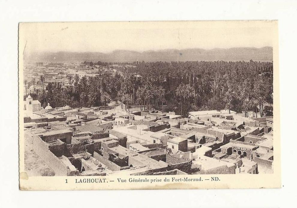 cp, Algérie, Laghouat, Vue Générale prise du Fort-Moraud