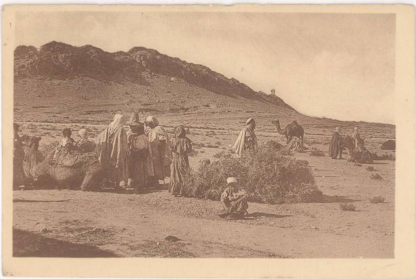 CPA ALGERIE - CARAVANE AU REPOS A LAGHOUAT