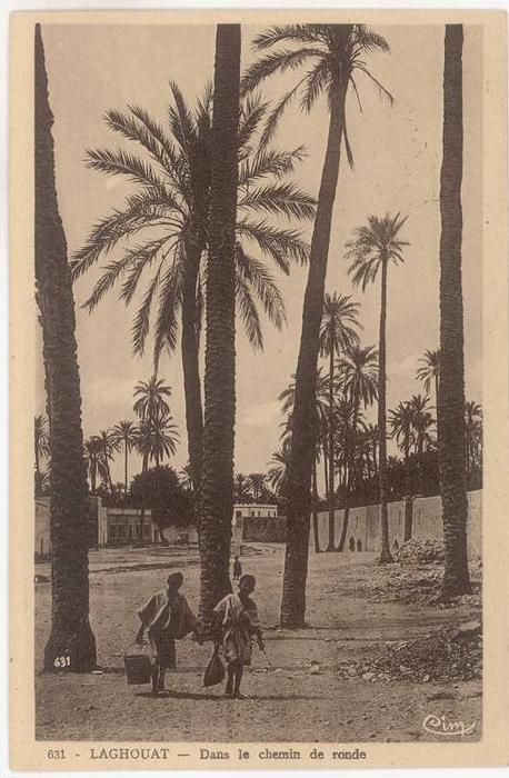 CPA ALGERIE - LAGHOUAT - DANS LE CHEMIN DE RONDE