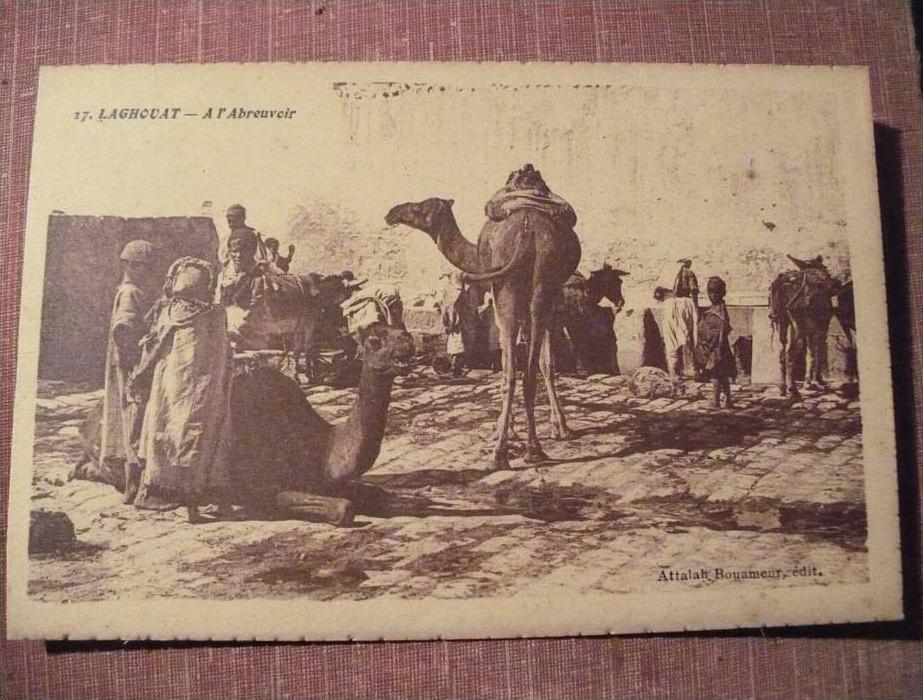 LAGHOUAT A L'ABREVOIR