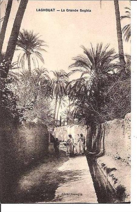 LAGHOUAT - La Grande Seghia.