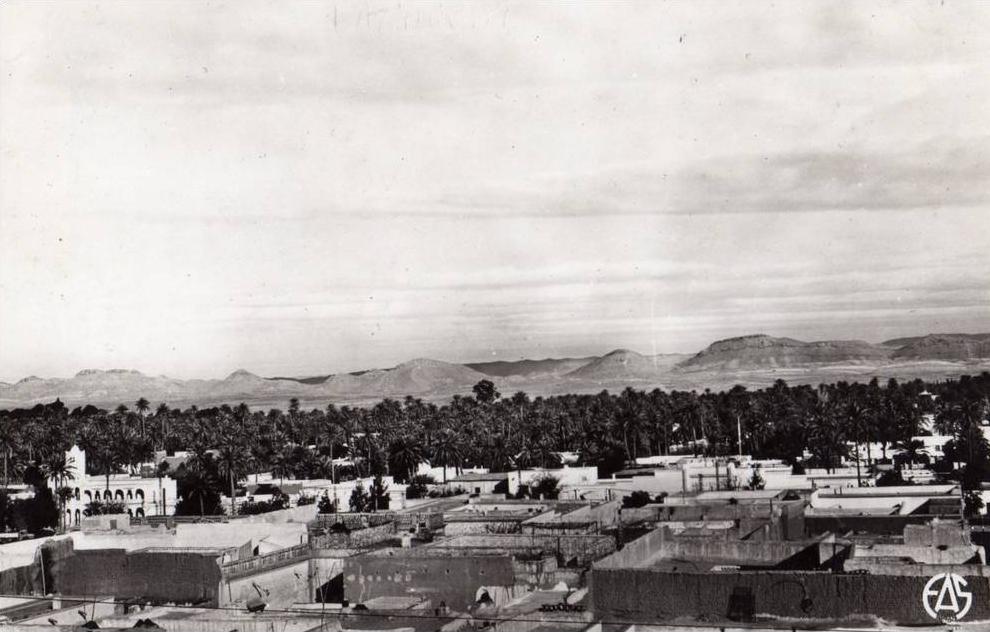 ALGERIE / ALGERIEN         Laghouat    vue de la Palmeraie et le Medersa