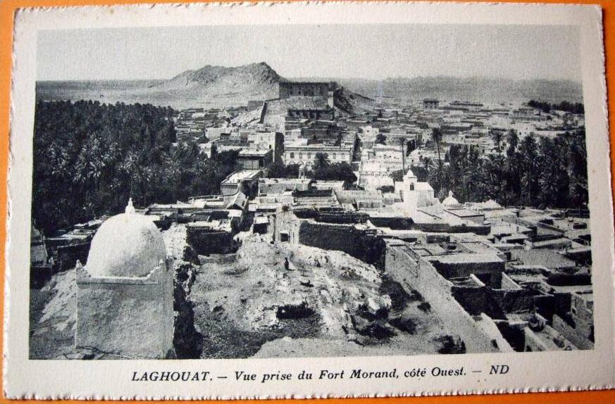 Algérie - CP N°AJ638 - Laghouat - CPSM/N