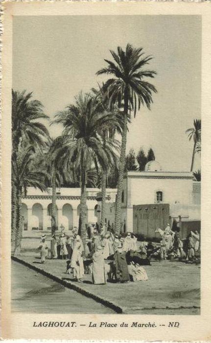 CPSM LAGHOUAT (Algérie) - La Place du Marché