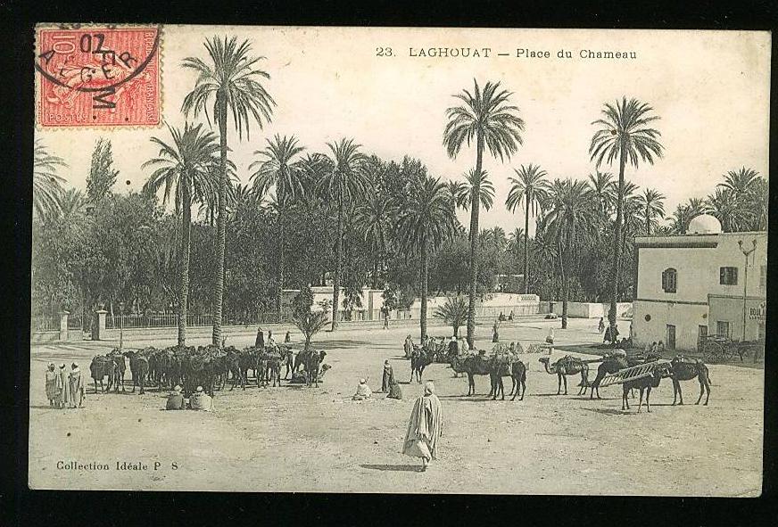 Lagouhat - place du chameau animée Bédouins Chameaux charette boulangerie et echelle à dos de Chameau collection idéal P