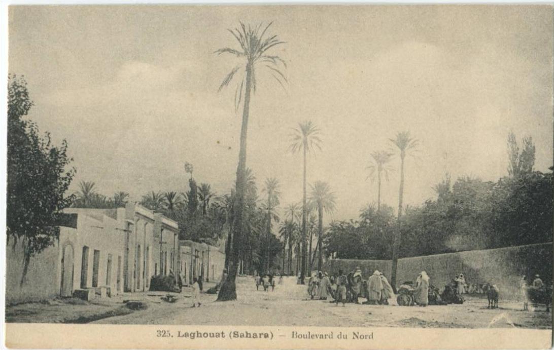 AFRIQUE ALGERIE Laghouat Boulevard du Nord