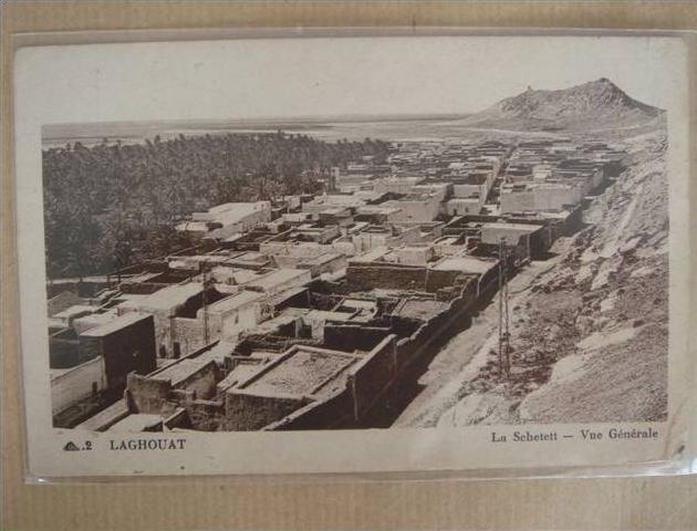 LAGHOUAT - La Schetett - Vue générale