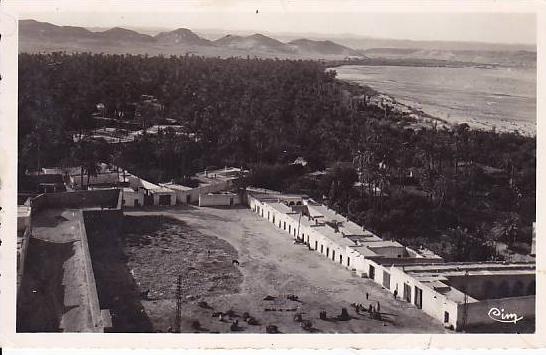 C499# LAGHOUAT SUD ALGERIEN ECHAPPEE SUR L' OASIS ALGERIE 1954