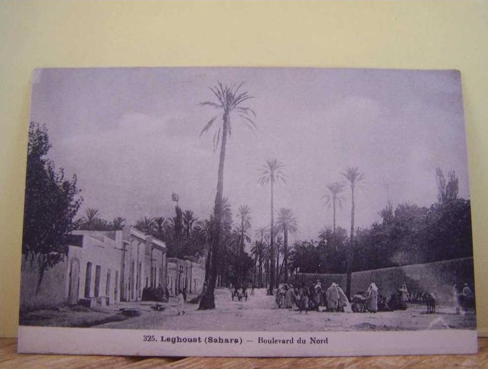 LAGHOUAT (ALGERIE)  BOULEVARD DU NORD.