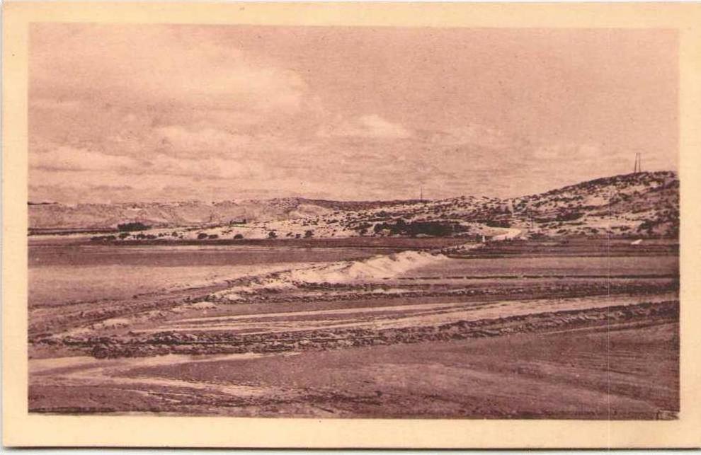 ALGERIE - LAGHOUAT - L'Oued M'zi (près de la passerelle)