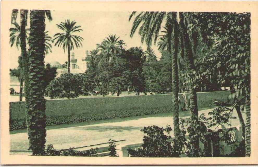 ALGERIE - LAGHOUAT - Eglise et Rue