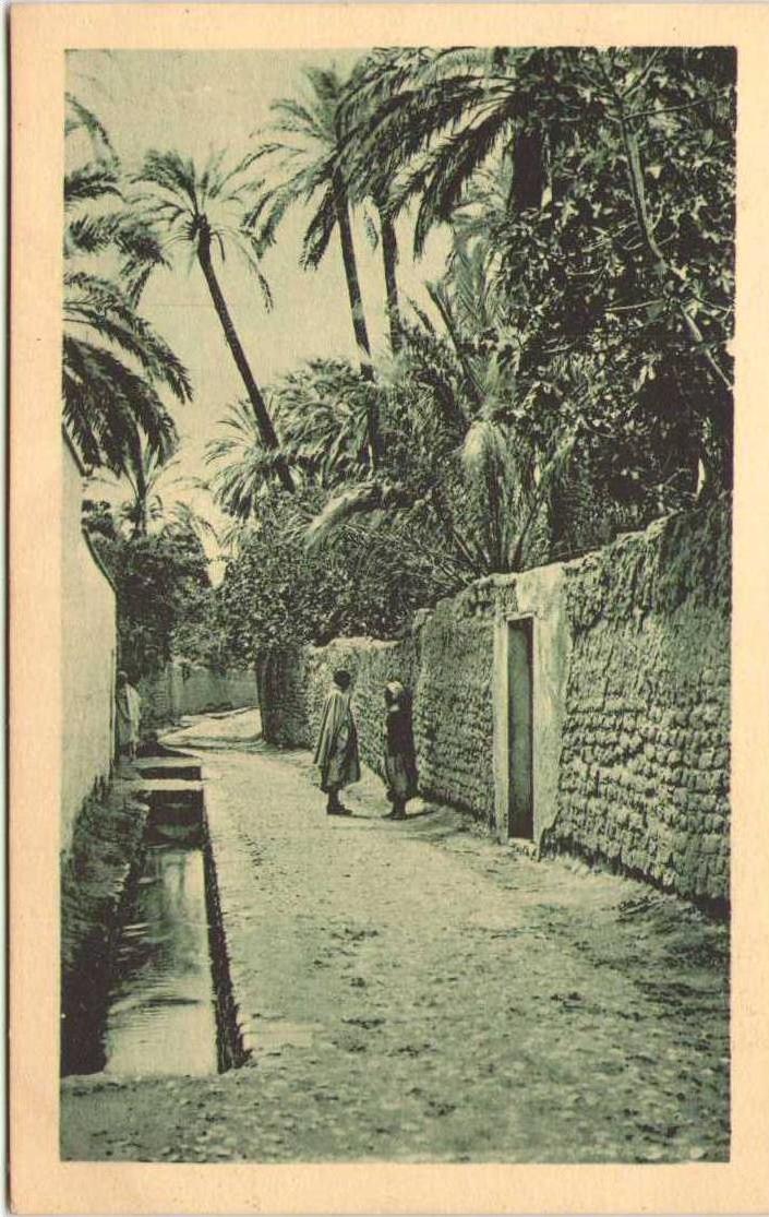 LAGHOUAT - Grande Séghia