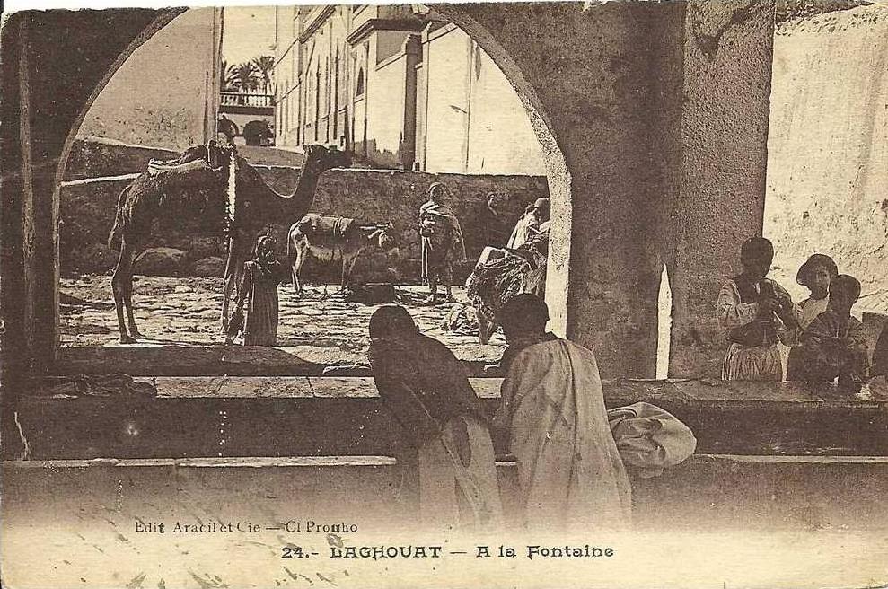LAGHOUAT   - A LA FONTAINE N° 24
