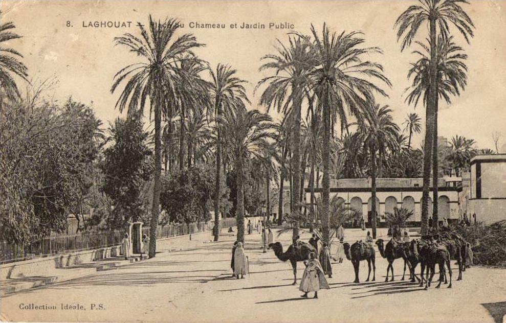 LAGHOUAT PLACE DU CHAMEAU ET JARDIN PUBLIC ANIMEE