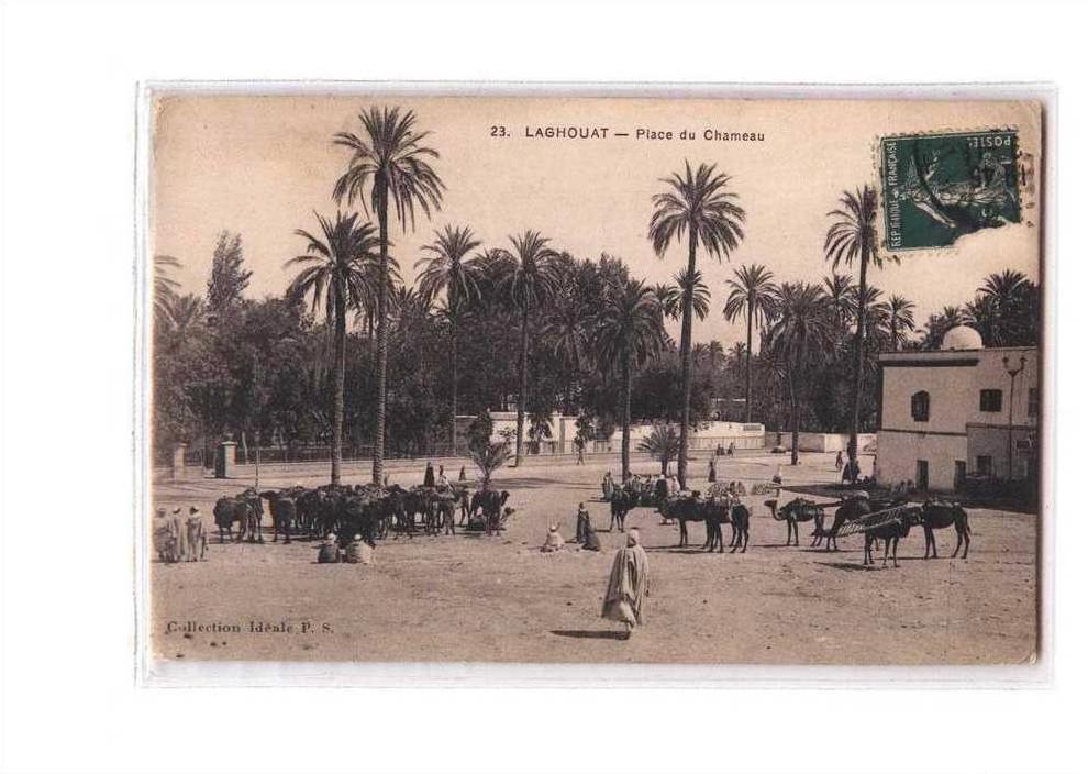 ALGERIE Laghouat Place du Chameau, animée, ed IKdéale PS 23, 1910