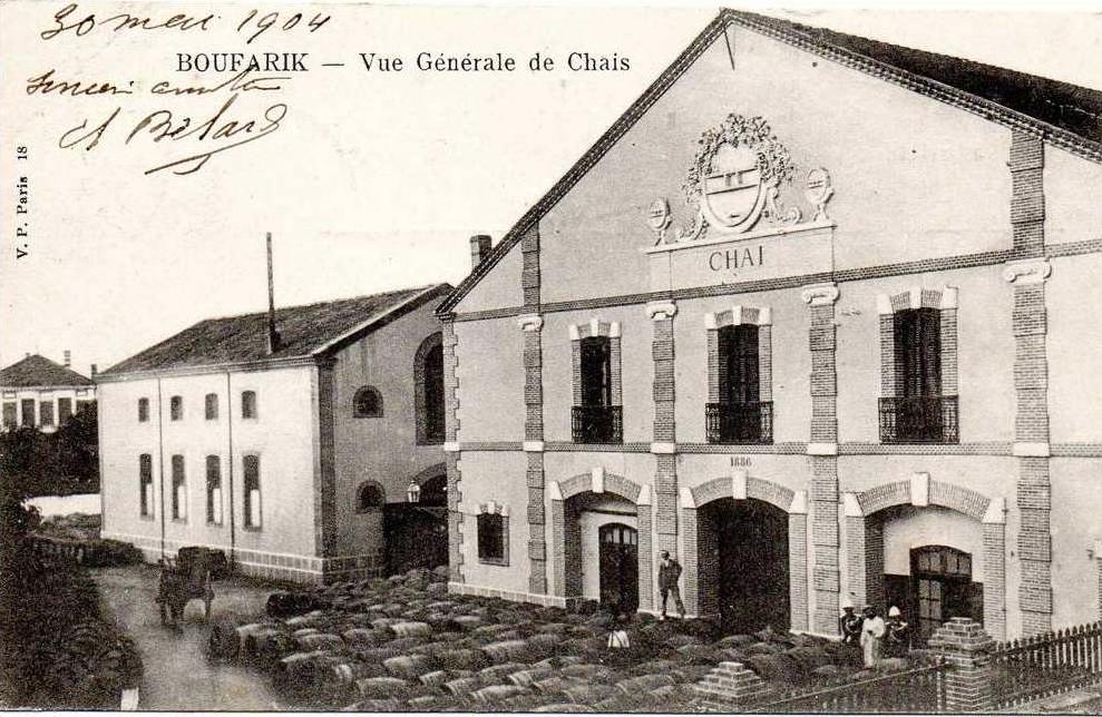 BOUFARIK vue generale de chais