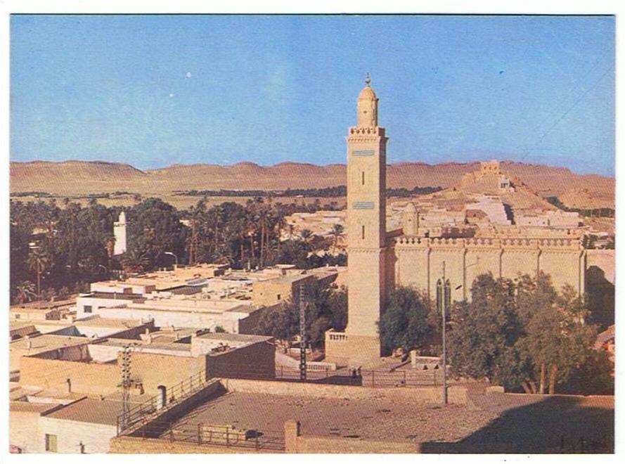 laghouat -vue générale