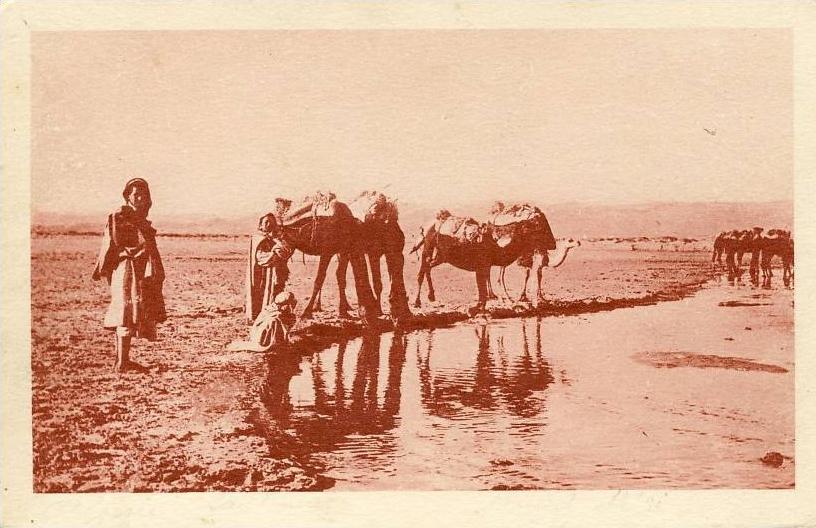 LAGHOUAT - L'Oued M'zi, animé