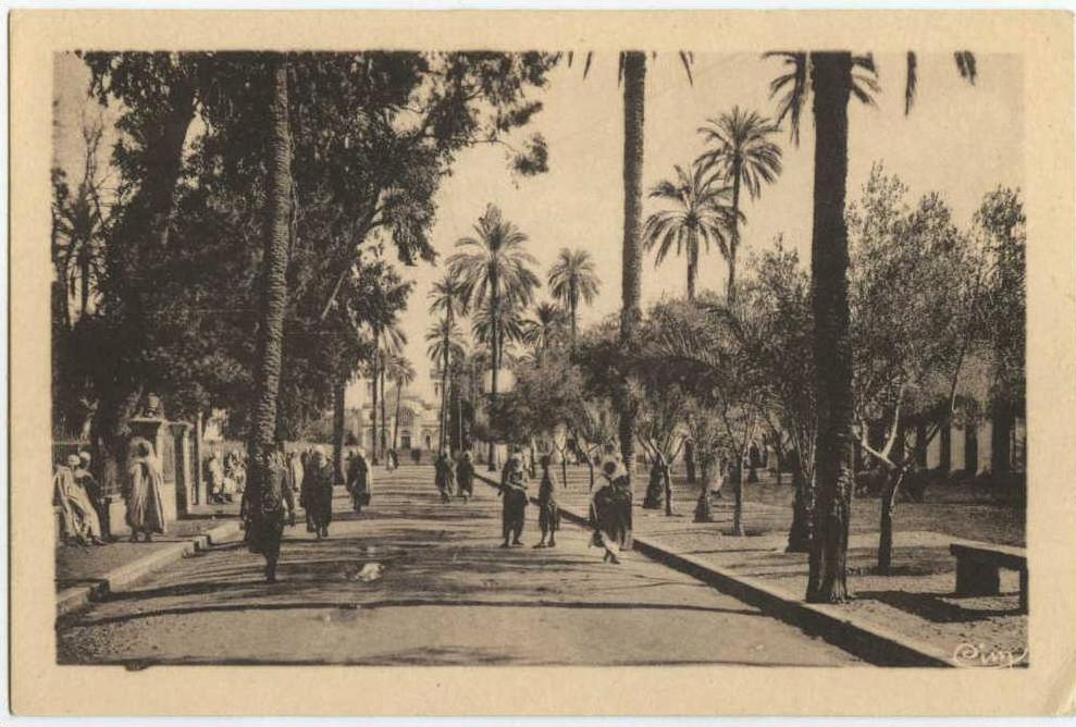 LAGHOUAT - Place des Oliviers