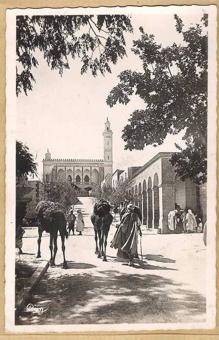 LAGHOUAT (sud algerien) grande mosquée