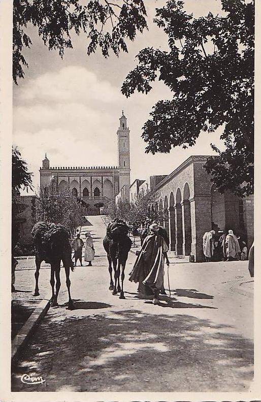 Algérie -  Laghouat - La Grande Mosquée