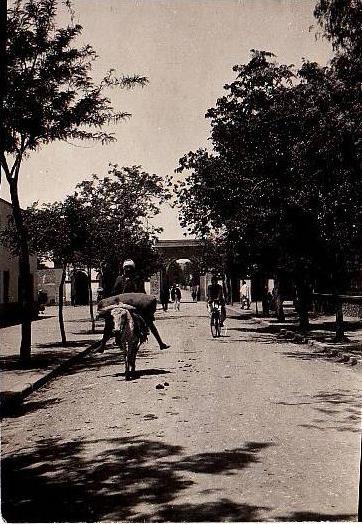 PHOTO DE LAGHOUAT  UNE RUE  1927