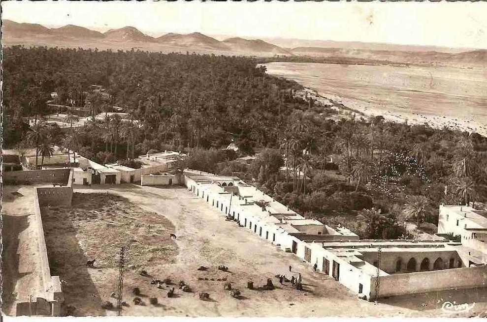 LAGHOUAT Une partie de l'Oasis Nord