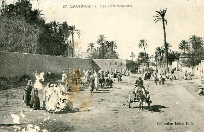 Laghouat - les fortifications  attelage avec ane