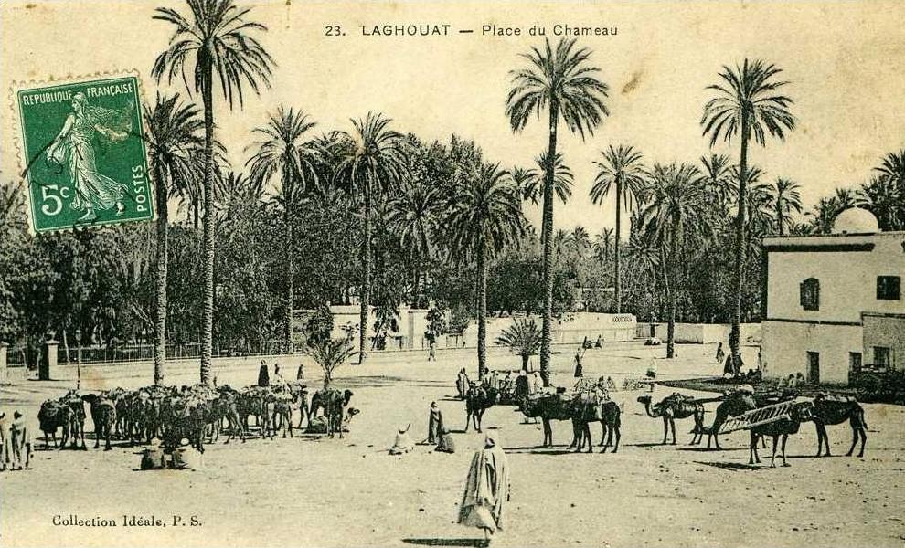 LAGHOUAT....PLACE DU CHAMEAU.....CPA ANIMEE