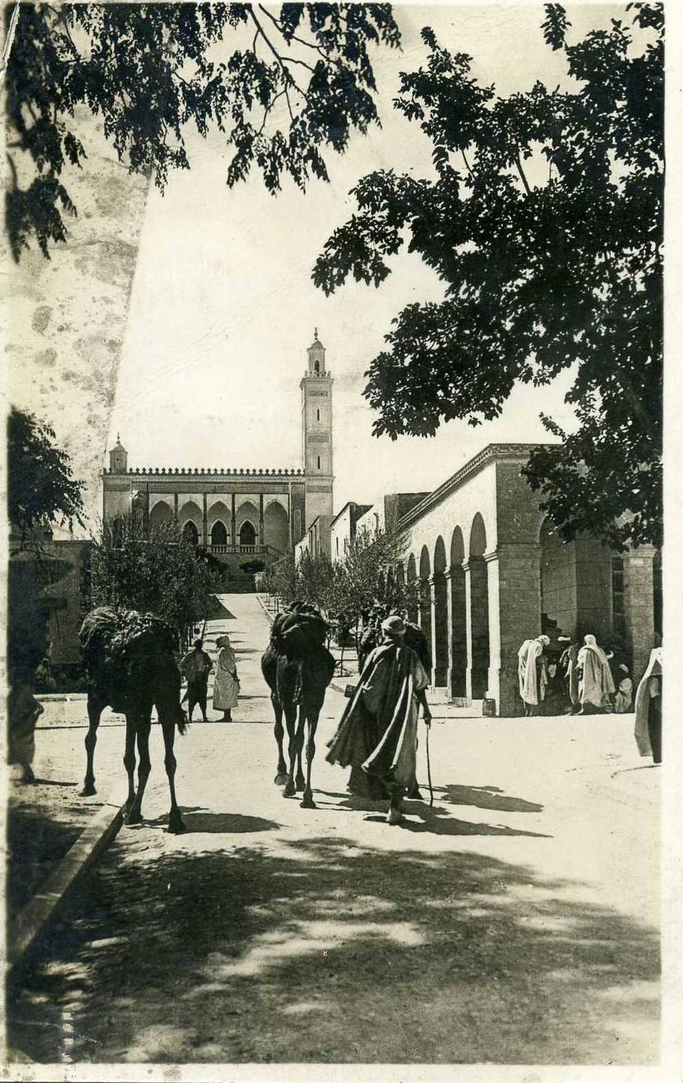 AFRIQUE- ALGERIE -LAGHOUAT - UNE JOLIE MOSQUEE  CARTE PHOTO