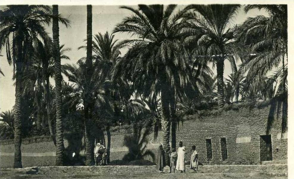 AFRIQUE- ALGERIE - LAGHOUAT - DANS LE CHEMIN DE RONDE - CARTE PHOTO