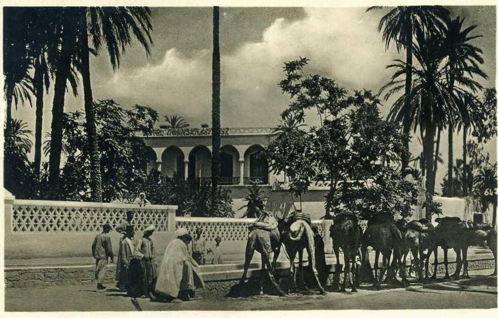 AFRIQUE- ALGERIE -  LAGHOUAT - HOTEL TRANSATLANTIQUE   CARTE PHOTO