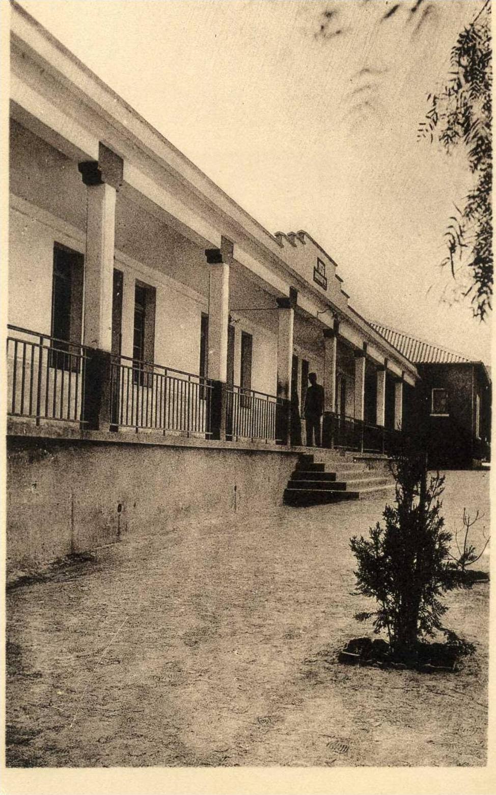 AFRIQUE- ALGERIE -  R.A.D.I.N.A. TRANSMISSIONS - EDITEUR EFGE ORAN