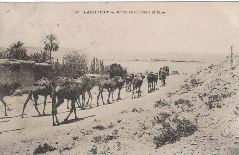 LAGHOUAT sortie sur l´oued m´zibe