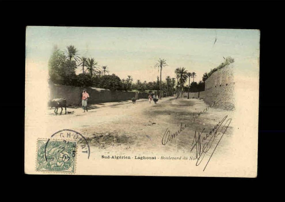 ALGERIE - LAGHOUAT - Boulevard du Nord