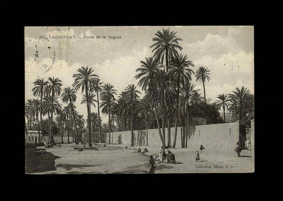 ALGERIE - LAGHOUAT - 13 - Porte de la Séguia