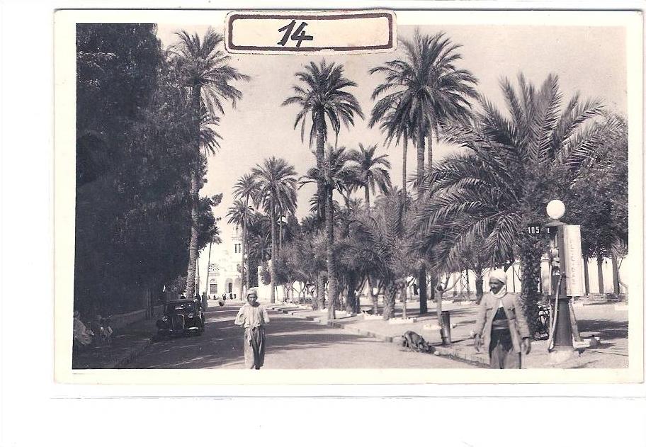 ALGERIE-LAGHOUAT-CARTE PHOTO-POMPE A ESSENCE