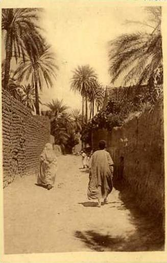 LAGHOUAT  - Ruelle dans l´Oasis  -  BELLE CARTE ANIMEE -